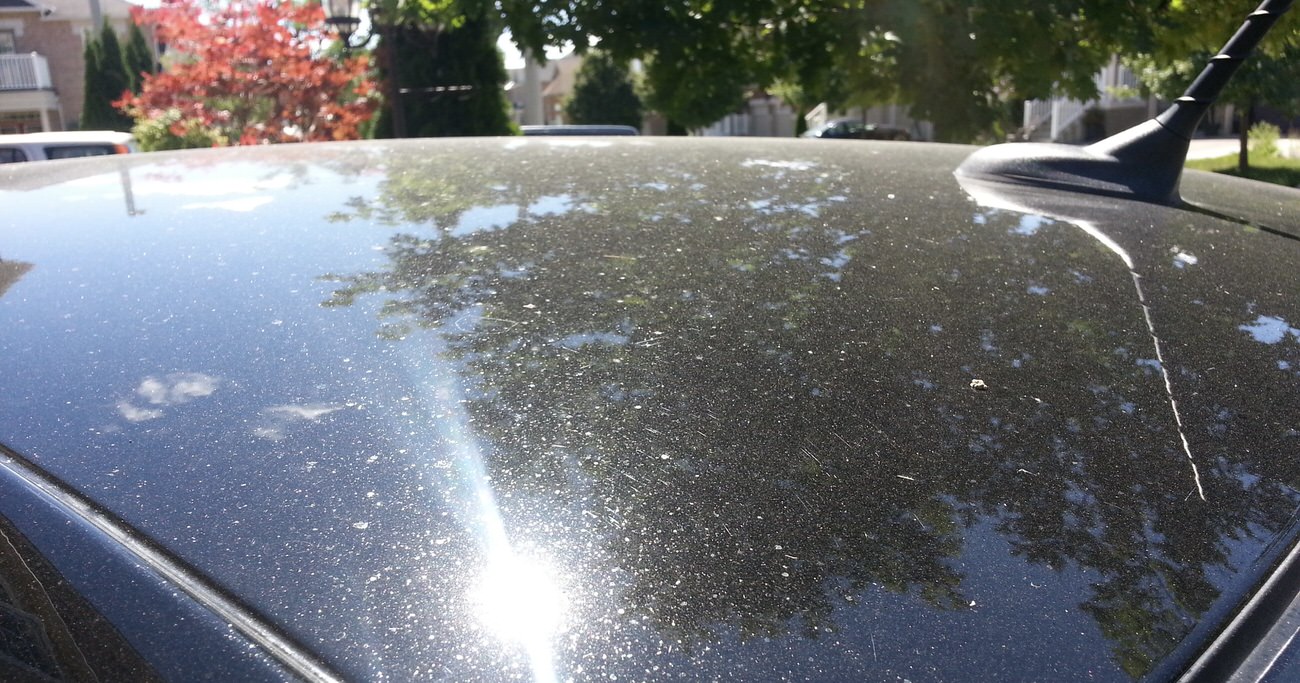 How to Get Tree Sap Off Your Car